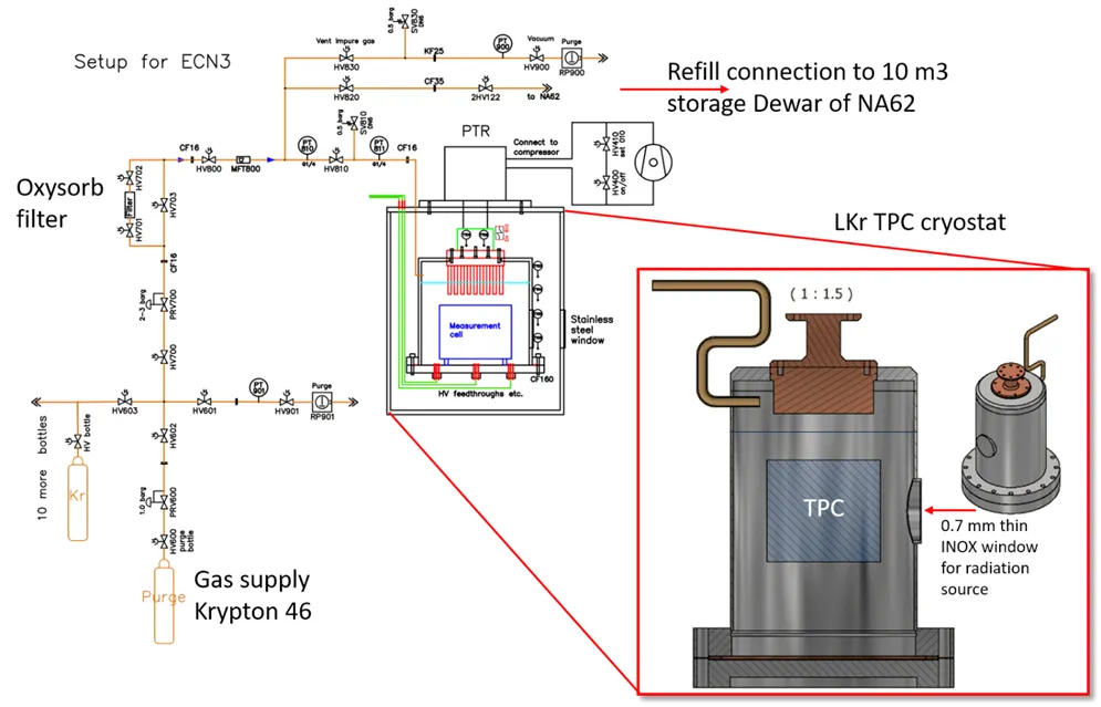 Cryogenics for a liquid Krypton purity monitor